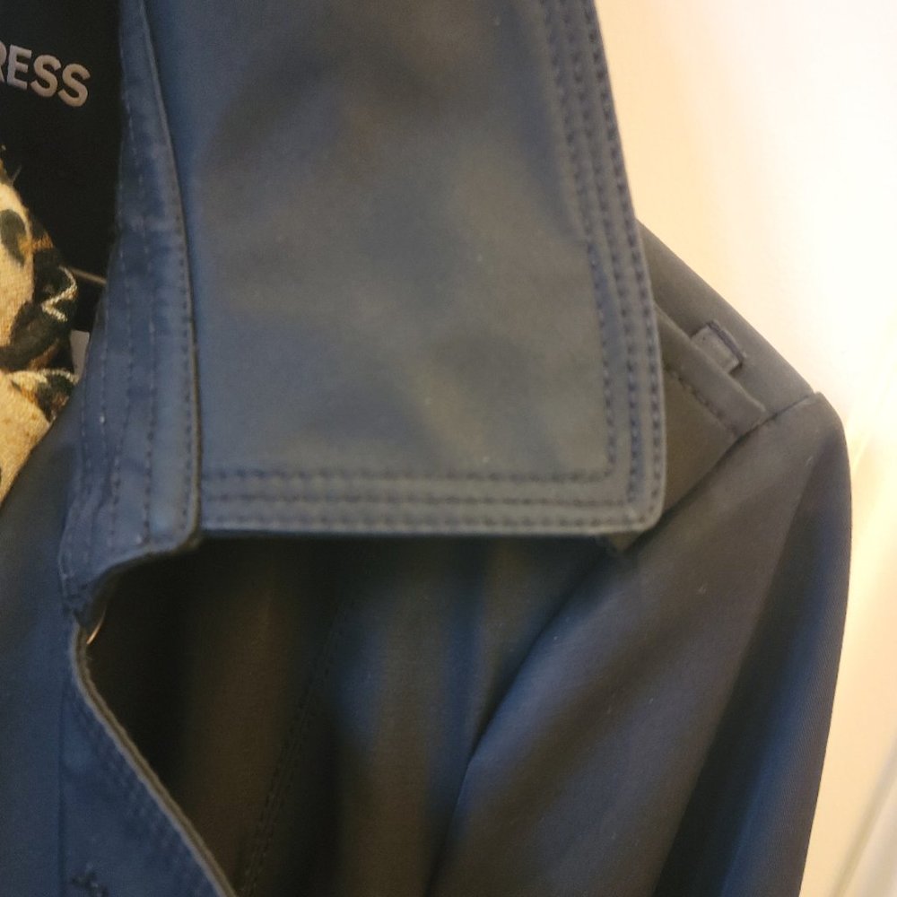 Express Double Breasted Classic Trenchcoat - Picture 13 of 15